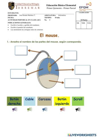 Actividad 3 de 3