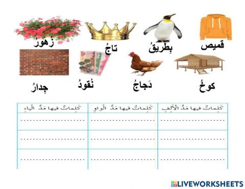 ورقة عمل4 مراجعة3