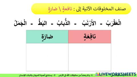 أحب مخلوقات ربي