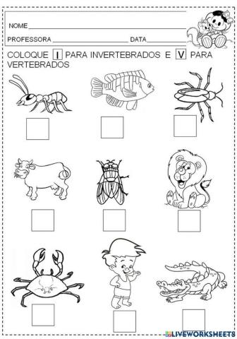 Vertebrados e invertebrados