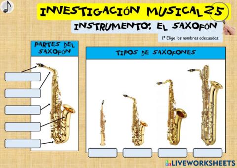 INVESTIGACIÓN MUSICAL 25