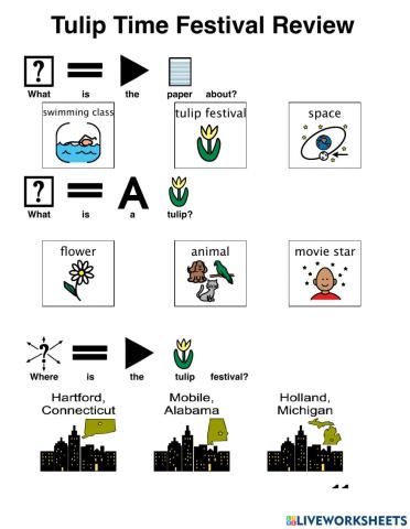 Tulip Festival Questions