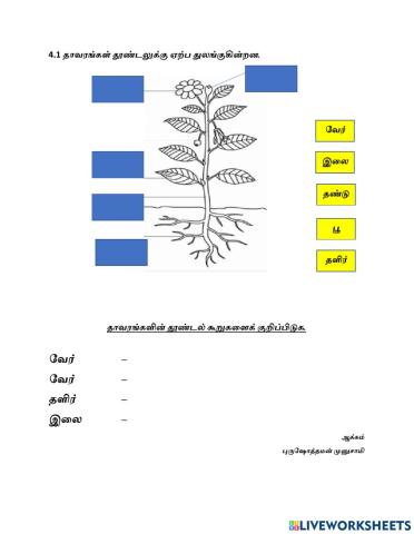 அறிவியல்