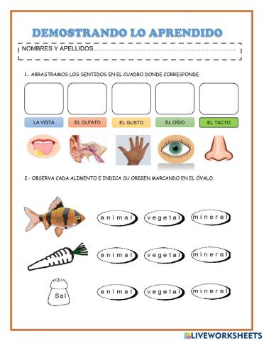 Aplicación de conocimientos