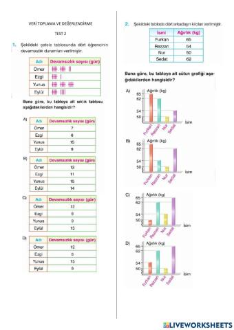 5. sinif veri̇ toplama ve değerlendi̇rme-test-02