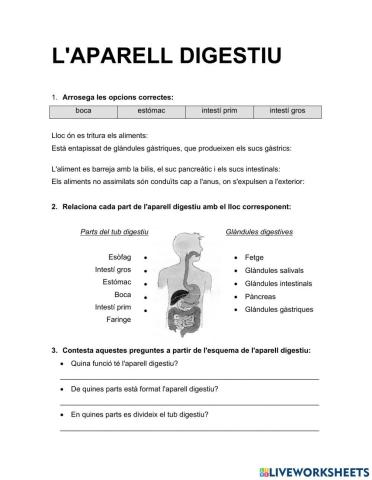 Aparell digestiu