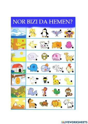 Nor bizi da hemen?