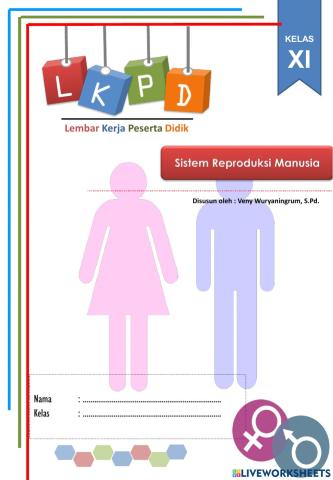 Lkpd sistem reproduksi