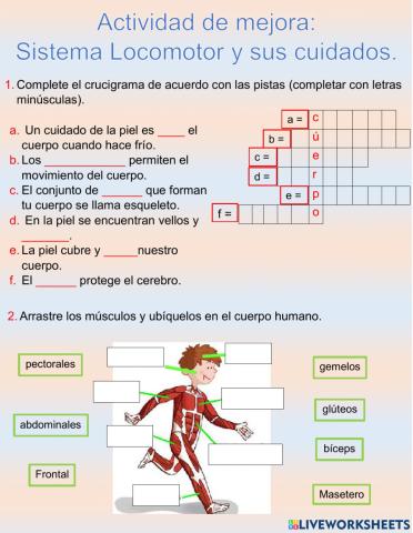 Actividad de Mejora