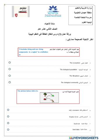 ورقة عمل تفاعلية