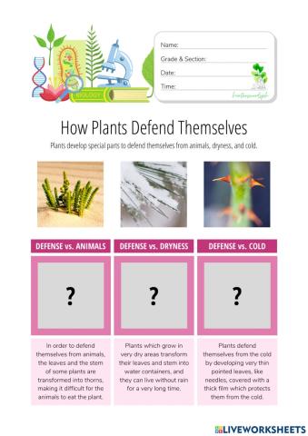 How Plants Defend Themselves