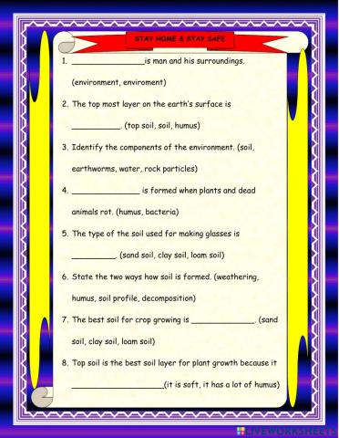 P3 literacy i