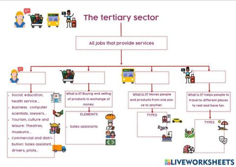 Tertiary sector