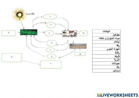 دورة المادة