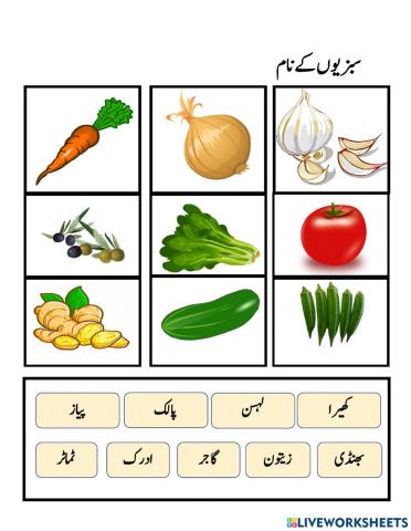 میرا پسندیدہ سبزی