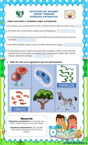 Actividad de mejora