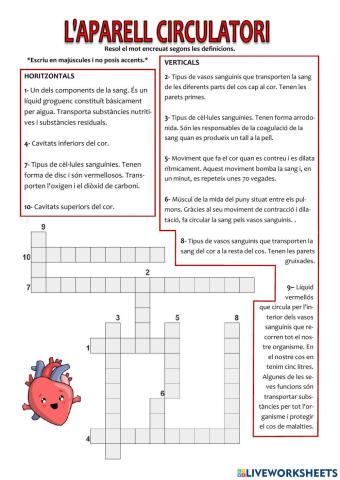 L'aparell circulatori - mot encreuat