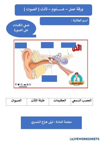 ورقة عمل علوم الصوت