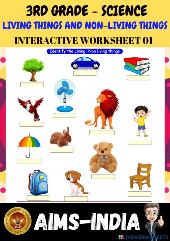 3rd-science-ps01-living things & non living things