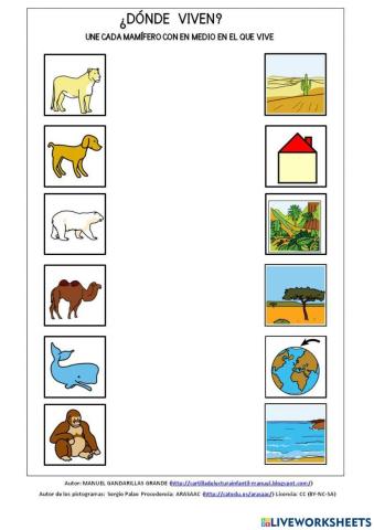 Mamíferos viven en diferentes medios