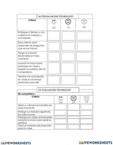 TECHNOGY CO EVALUATION