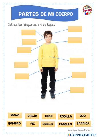 Partes del cuerpo - niños