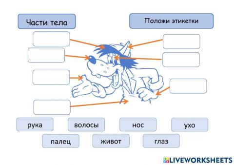 Части тела