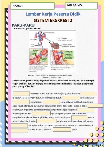 LKPD Sistem Ekskresi 2