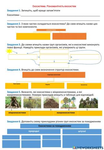 Екосистема. Різноманітність екосистем