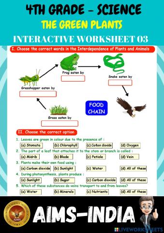 4th-science-ps03-the green plants