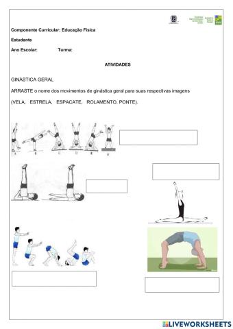 Atividade de EDUCAÇÃO FÍSICA