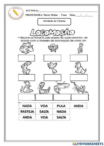 Locomoção