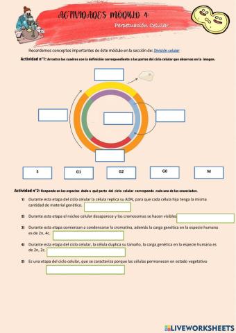 Actividades Módulo 4