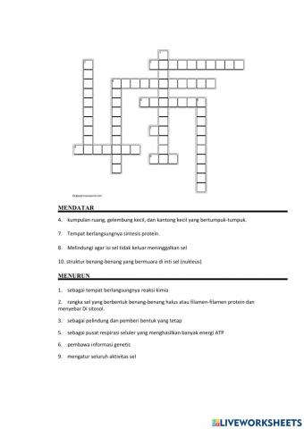 Puzzle biologi