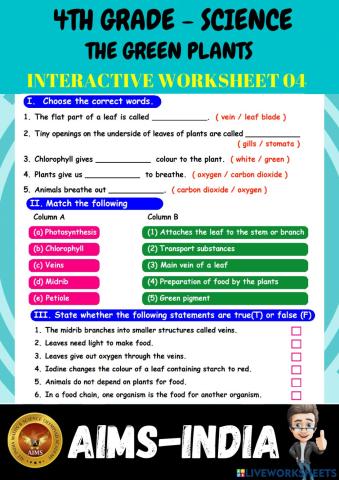 4th-science-ps04-the green plants