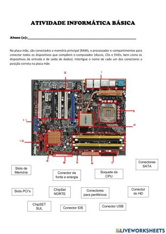 Placa mae