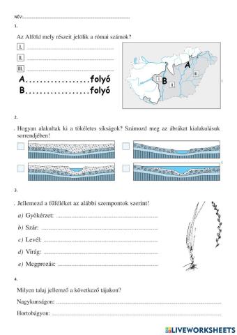 Alföld tudáspróba