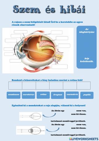 Szem és hibái