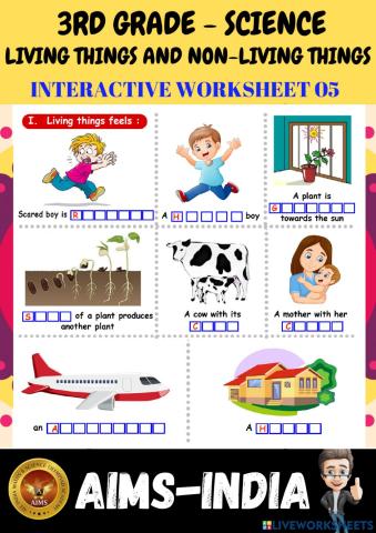 3rd-science-ps05-living things & non living things