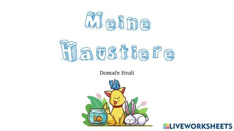 Meine Haustiere - samoocenjevanje