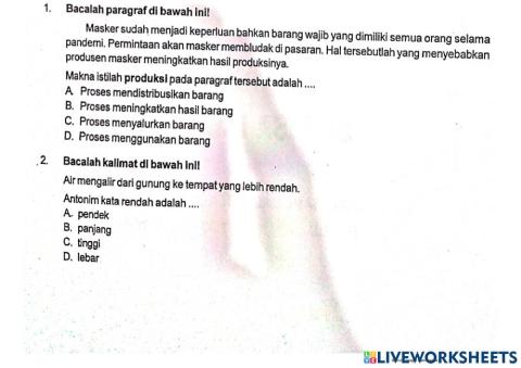 Bahasa indonesia