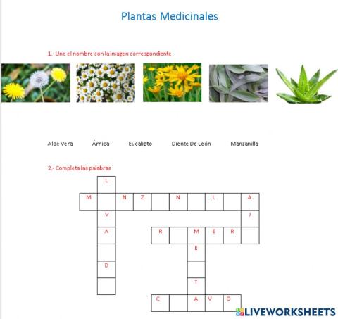 Plantas Medicinales