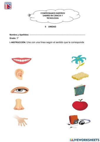 Examen Ciencia y Tecnología II Unidad 1ro