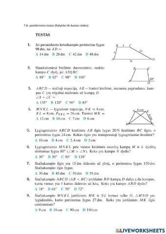 Keturkampiai (pasitikrinimo testas)