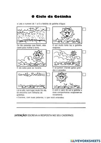 O ciclo da gotinha