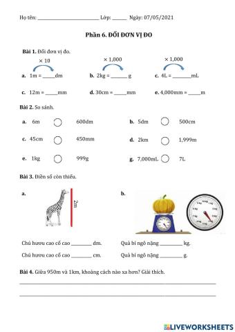 Ôn tập-Phiếu 6-Đổi đơn vị đo