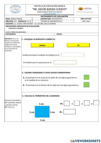 Geometria y medida