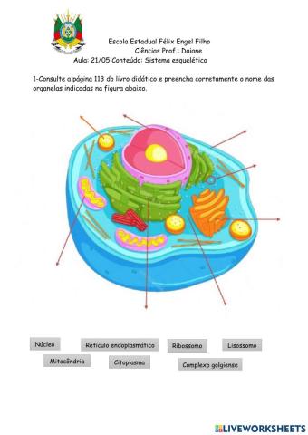 Organelas celulares