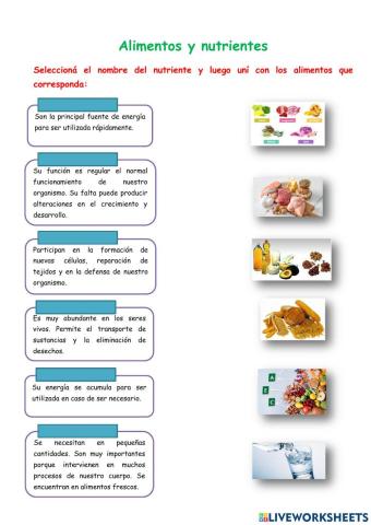 Alimentos y nutrientes