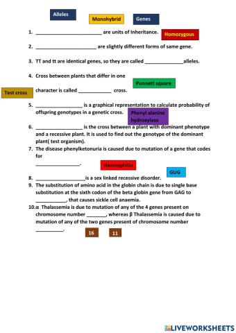 Drag and drop- Mendelian Inheritance